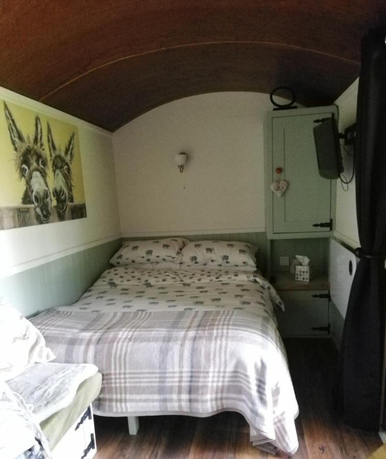 Durham Donkey Rescue Shepherd'S Hut Hotel Екстериор снимка
