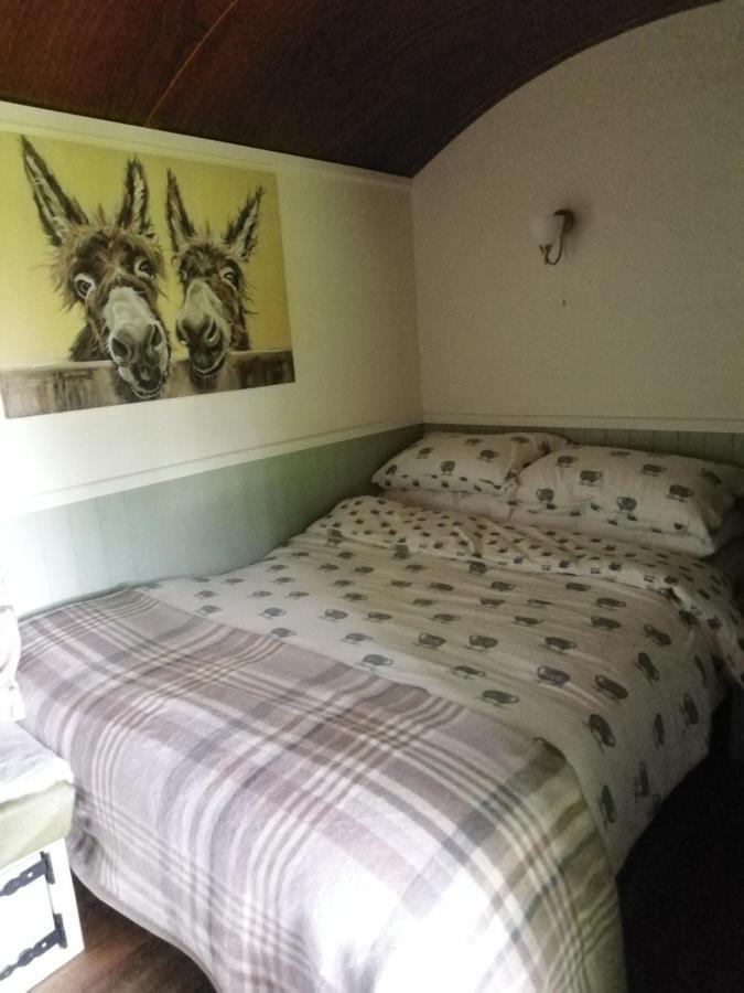 Durham Donkey Rescue Shepherd'S Hut Hotel Екстериор снимка