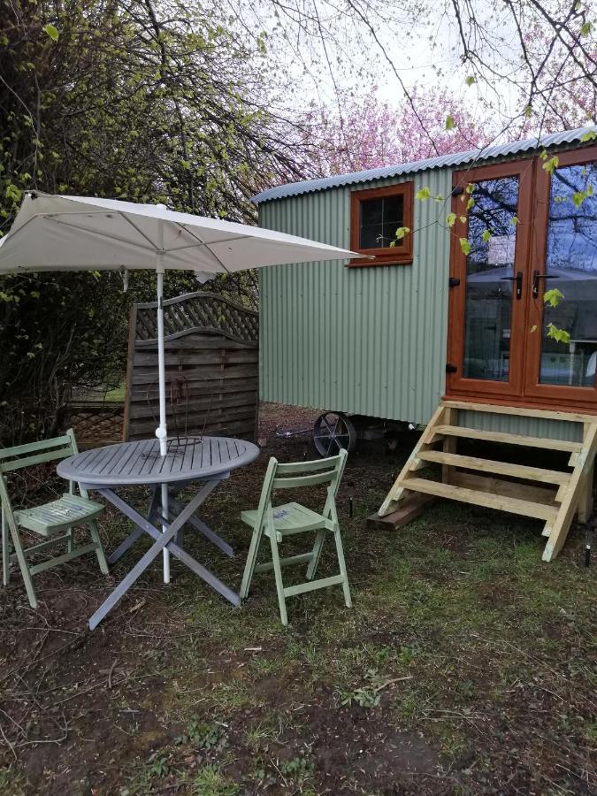 Durham Donkey Rescue Shepherd'S Hut Hotel Екстериор снимка
