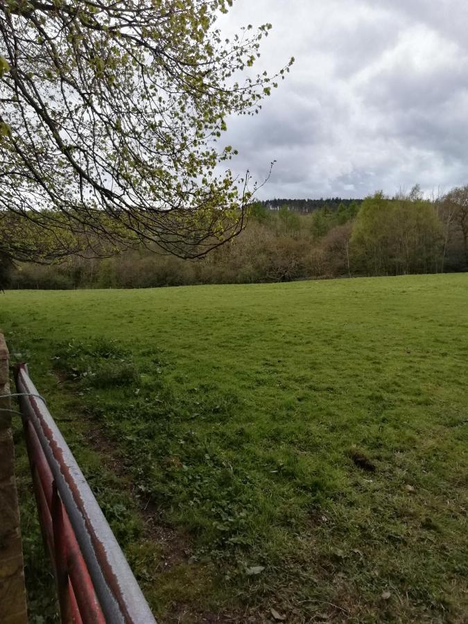 Durham Donkey Rescue Shepherd'S Hut Hotel Екстериор снимка