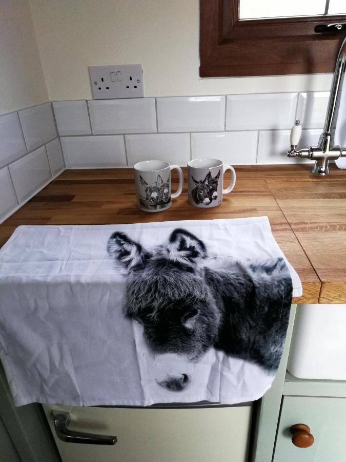Durham Donkey Rescue Shepherd'S Hut Hotel Екстериор снимка