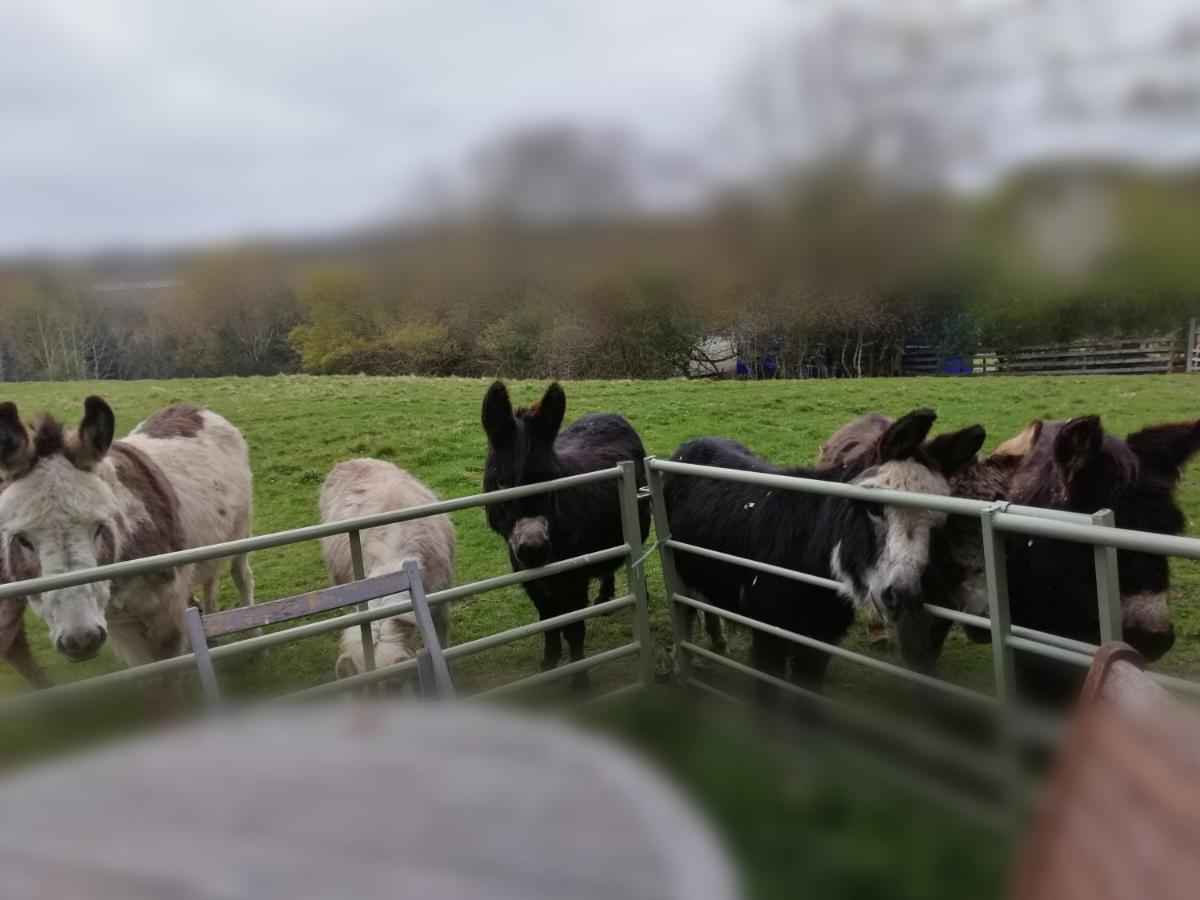 Durham Donkey Rescue Shepherd'S Hut Hotel Екстериор снимка